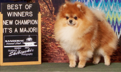 Champion A&M Magician for all Times (Merlin)