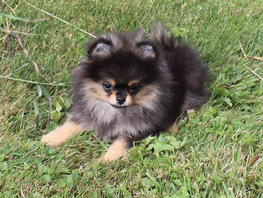 Quincy