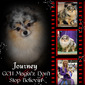 Journey (GCH Magix'z Don't Stop Believing)