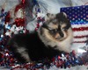 Charm (Magix'z Splash of Charm City)