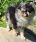 Charm (Magix'z Splash of Charm City)