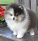 SLATER (MAGIX'Z ROCK N' MY WORLD AT SHP)
