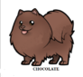 SHOWINS CHOC KODIAK BEAR